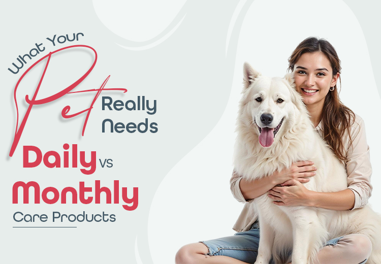 Christmas Day-Hilarious Tweets Which Define The Occasion